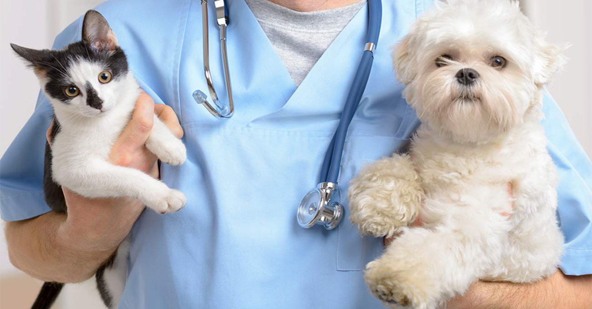 best veterinary clinic