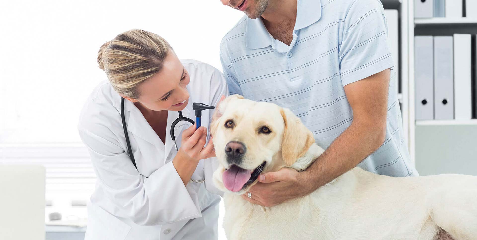 New York Veterinary Center | Best Health Care for Pets