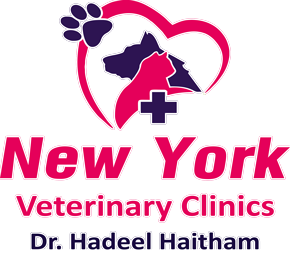 vet-clinic