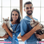 اسعار العيادات البيطرية