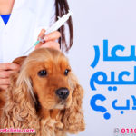 اسعار تطعيم الكلاب 2018