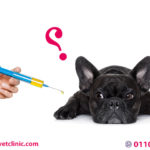 اسعار تطعيمات الكلاب 2018